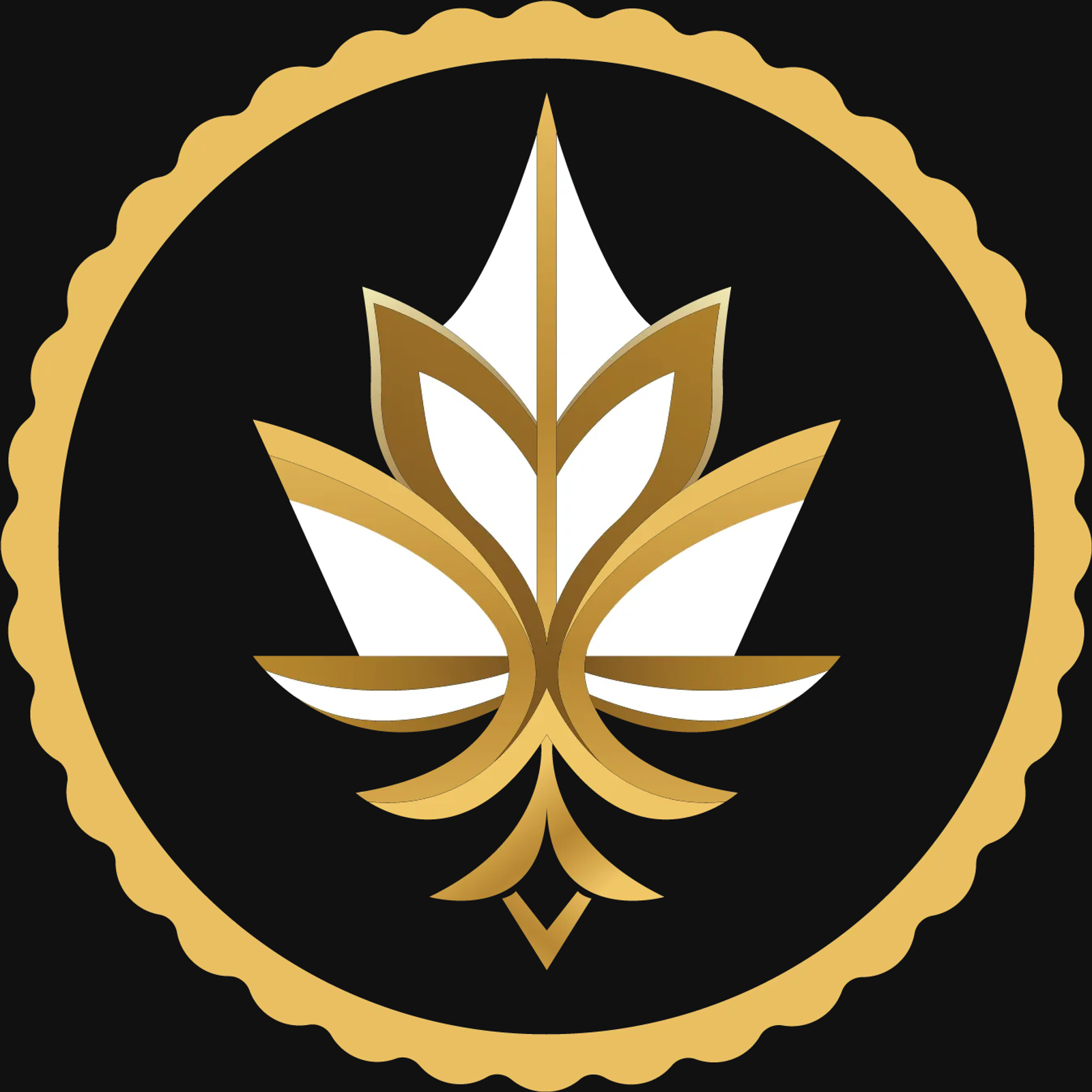 Tabacalera Familia Disla S.A. logo